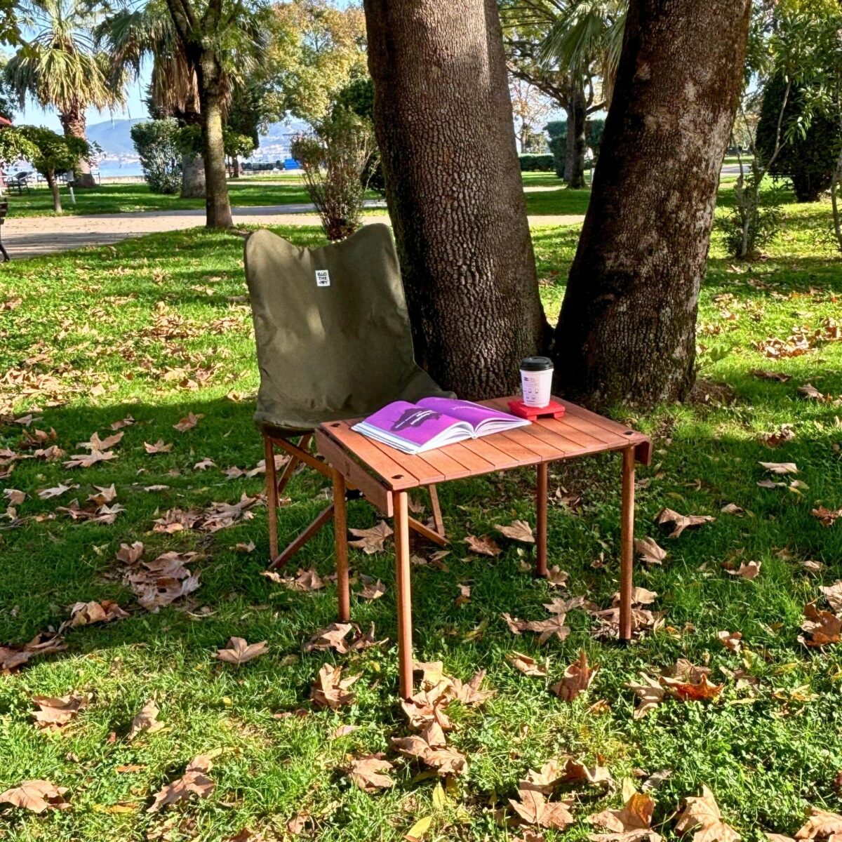 BAG THE JOY KATLANIR AHŞAP KAMP SANDALYESİ – KAHVERENGİ İSKELET - HAKİ KILIF - Görsel 8