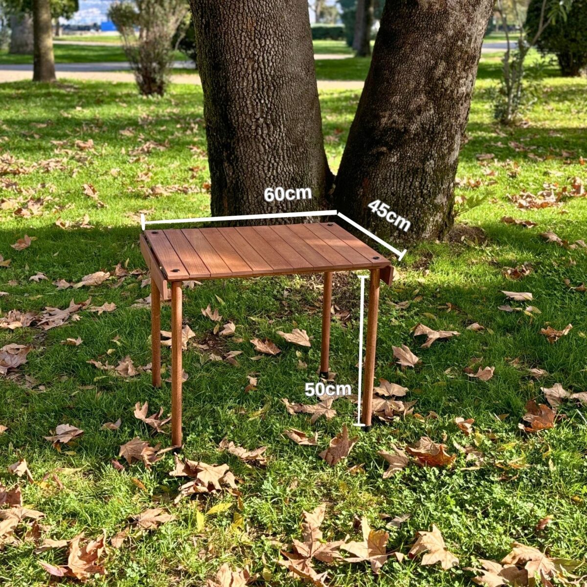Bag The Joy TrailTop 45x60x50 cm Ahşap Katlanır Rulo Kamp Masası I Çantalı I Piknik, Bahçe ve Balkon - Görsel 4